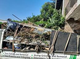 Best Hoarding Cleanup  in Leland, NC
